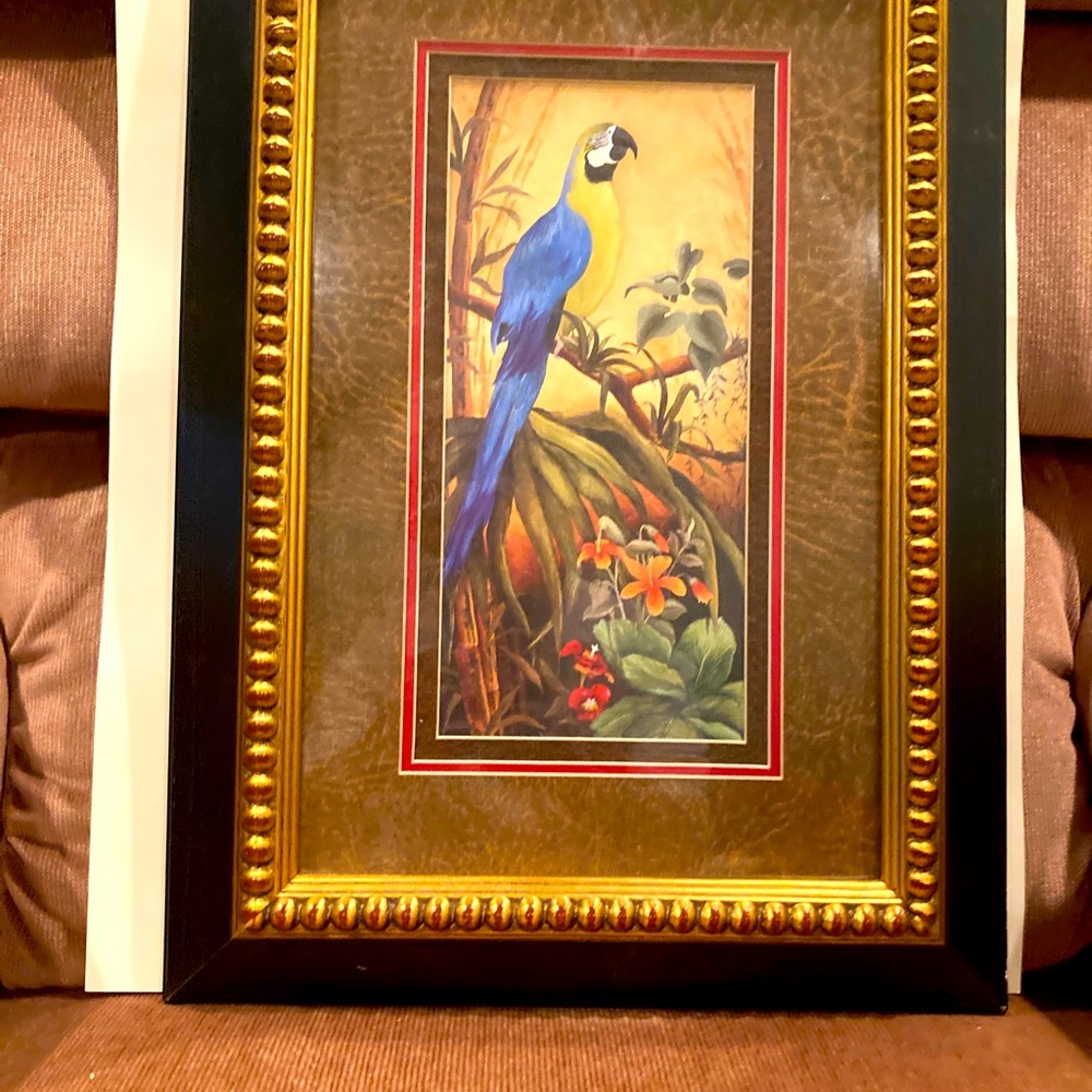 Blue Mcgaw Parrot beautiful picture of a painting to add to any setting.